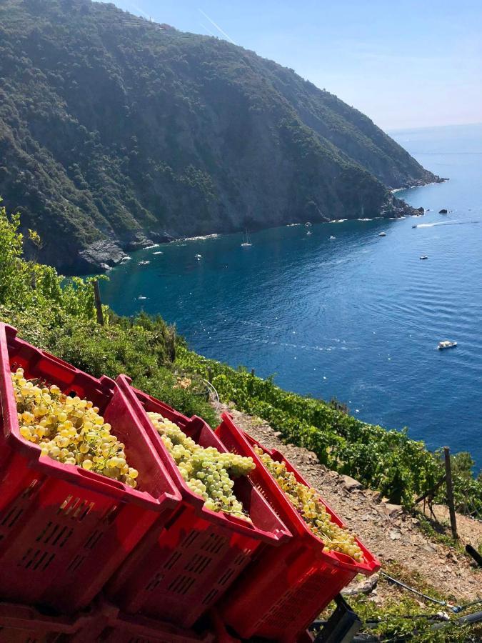 Appartamento Casa Natalina Monterosso al Mare Esterno foto