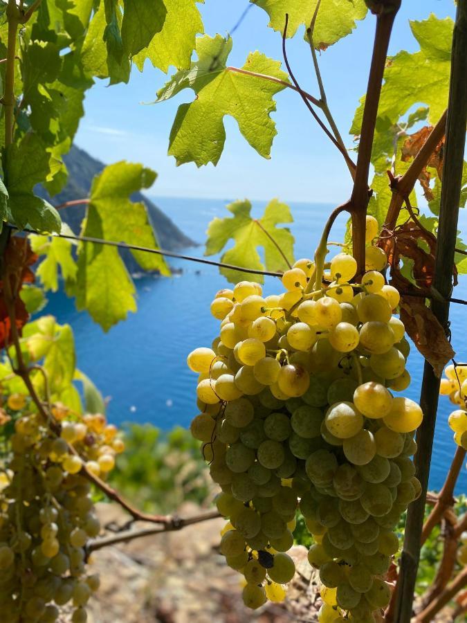 Appartamento Casa Natalina Monterosso al Mare Esterno foto