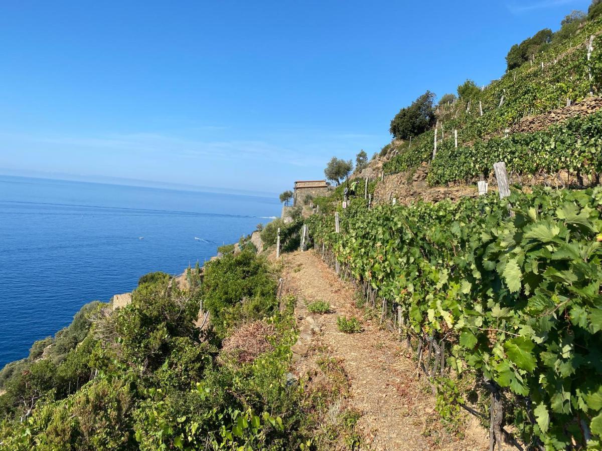 Appartamento Casa Natalina Monterosso al Mare Esterno foto